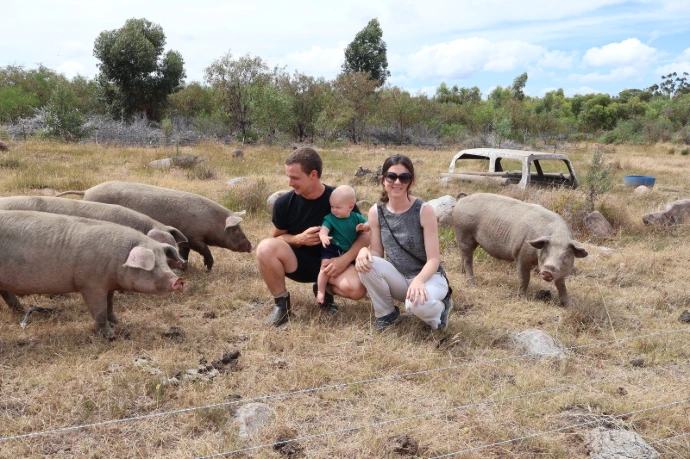 a couple and their baby crouch close to the ground among their pasture-raised pigs